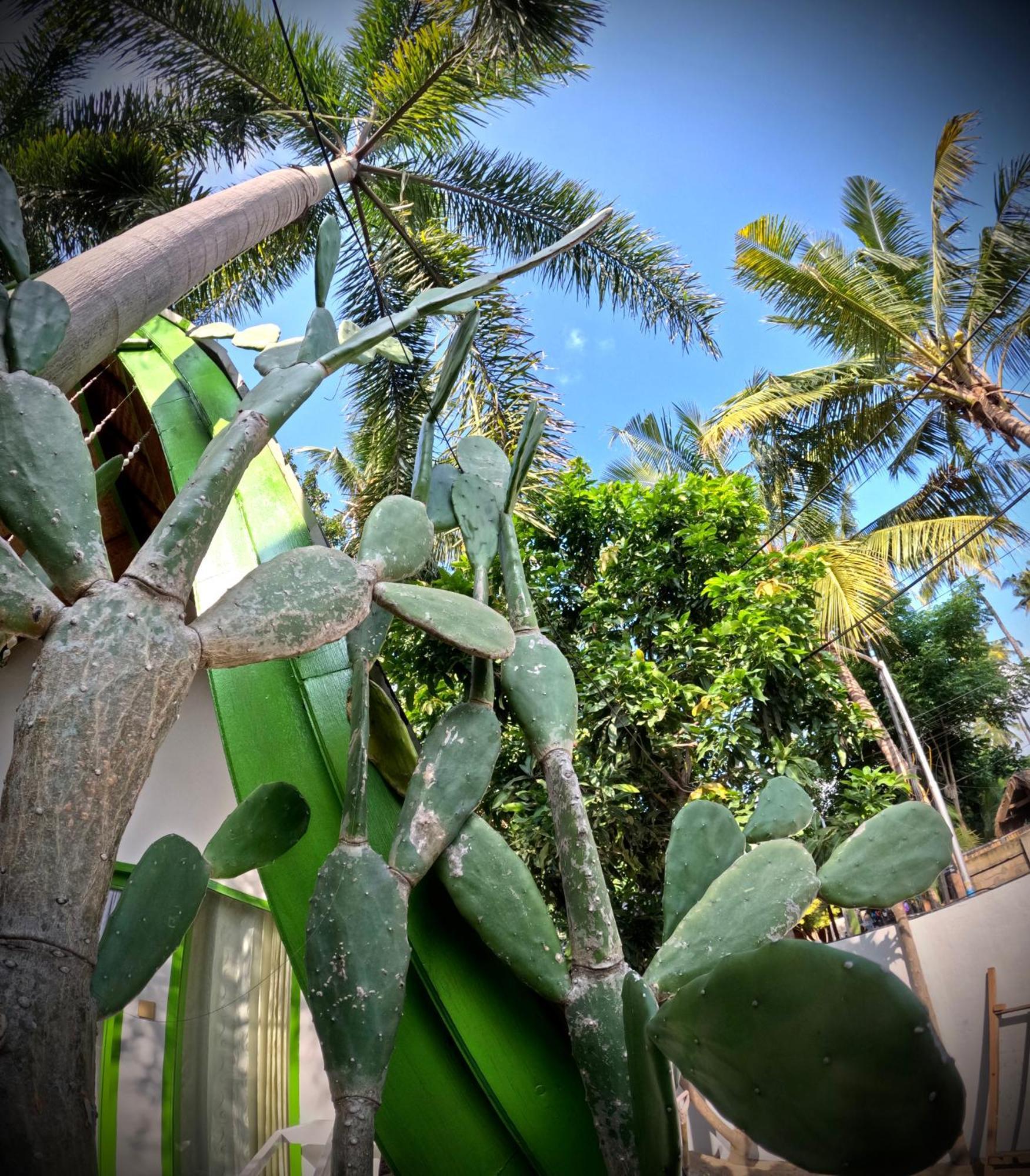 Kaktus Bungalow 2 Gili Air Exteriör bild